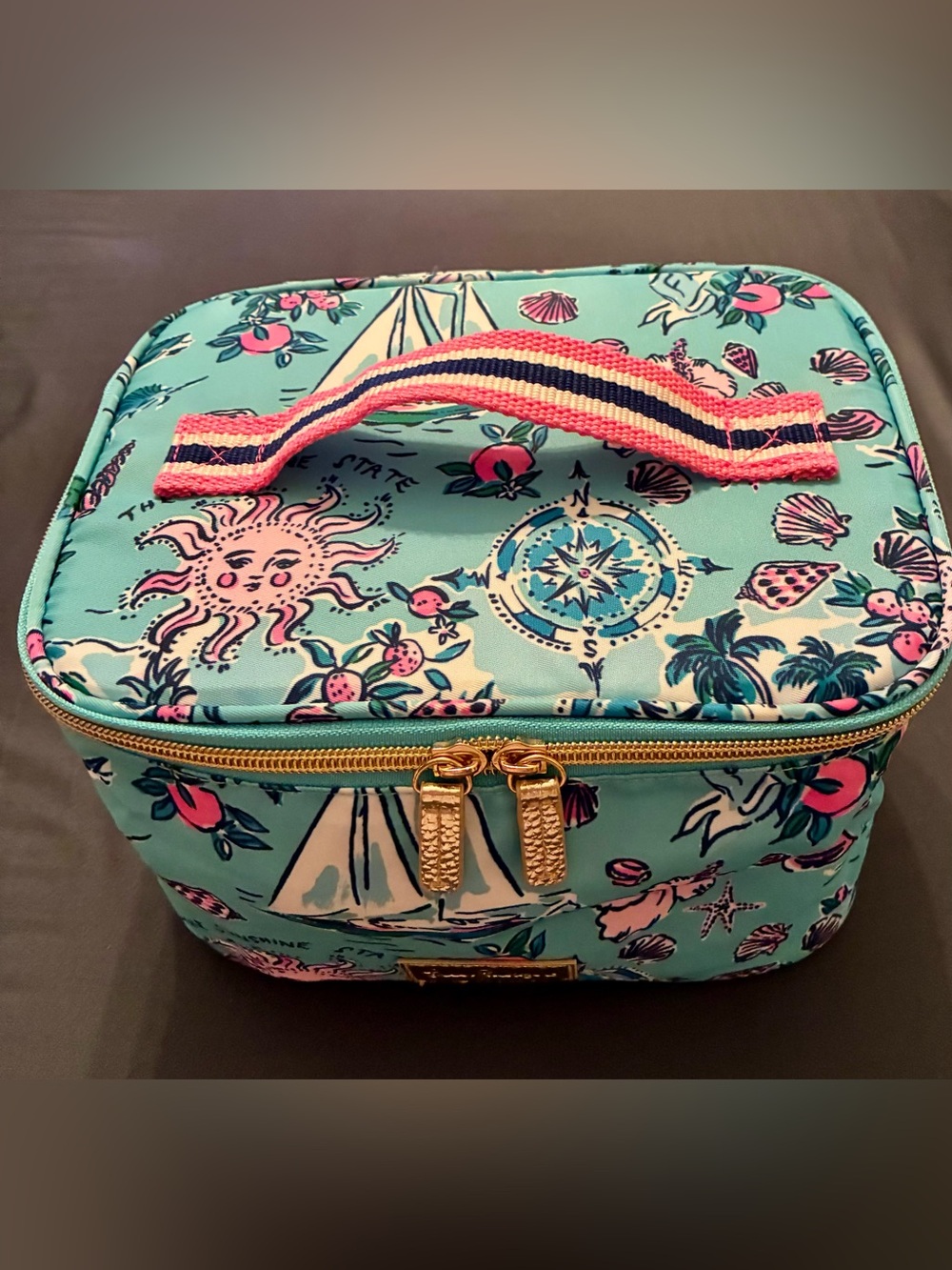 Travel Cosmetic Case - Adorable Florida Destinations Print